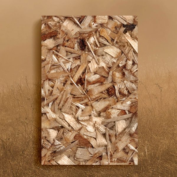 Woodio natural birch mood